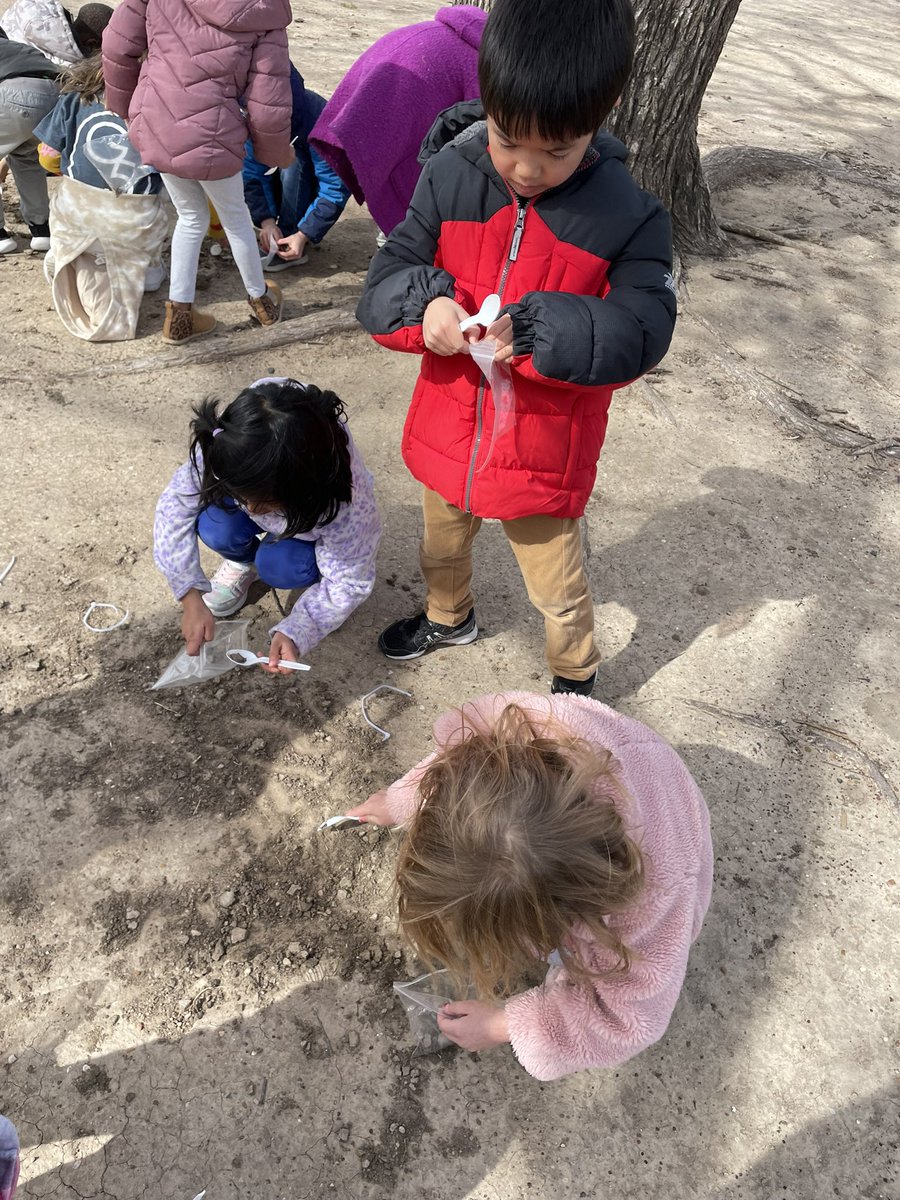 ChristyYowell's tweet photo. K3 thoroughly enjoyed collecting soil samples today! They didn’t even mind the cold, windy conditions. True scientists! #Wilsonway https://t.co/qwjEEzUq6P