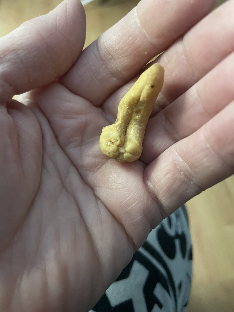 BostonGirl61221's tweet photo. In my tin of cashews I found one that reminds me of @MrTommyLand @BrittanyFurlan 🥜 🍆 https://t.co/f20kGrAdBY