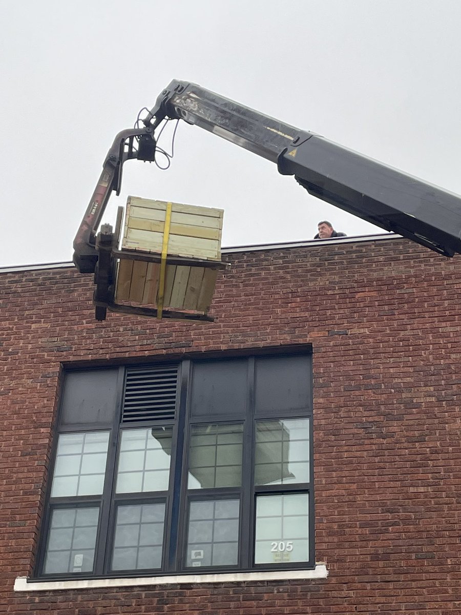 MrsMandrelle's tweet photo. Thanks to our local lumberyard and our janitors, we were able to get our peregrine falcon nesting box on the school roof today. Students modeled after @MSUFWClub box. We hope to get a nesting pair for us to observe. @JonesvilleCS #OneComet https://t.co/8SNjG9R5vJ