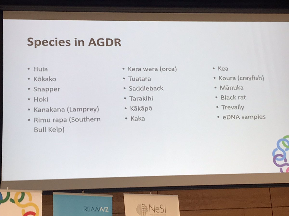 Data governance meets genomics research meets #HPC - @mikblacknz sharing the collaborative approach between <a href="/GenomicsNZ/">GenomicsAotearoa</a> &amp; <a href="/NeSI_NZ/">NeSI</a> to build a taonga species data repository within a Māori values context. #kakapo #manuka  #eResearchNZ2023