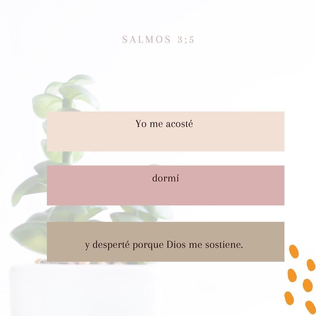 LauraRojasPY's tweet photo. Todo está bajo Su cuidado. 
Nada pasa sin que Él no lo permita. 
Él te sostuvo hasta ayer y lo seguirá haciendo. 
Que cada bendición  te lleve a agradecer .
Que cada adversidad te lleve a depender más de Él.
Confiar y depender de Él es para valientes y osados. https://t.co/k4B1o9izIU