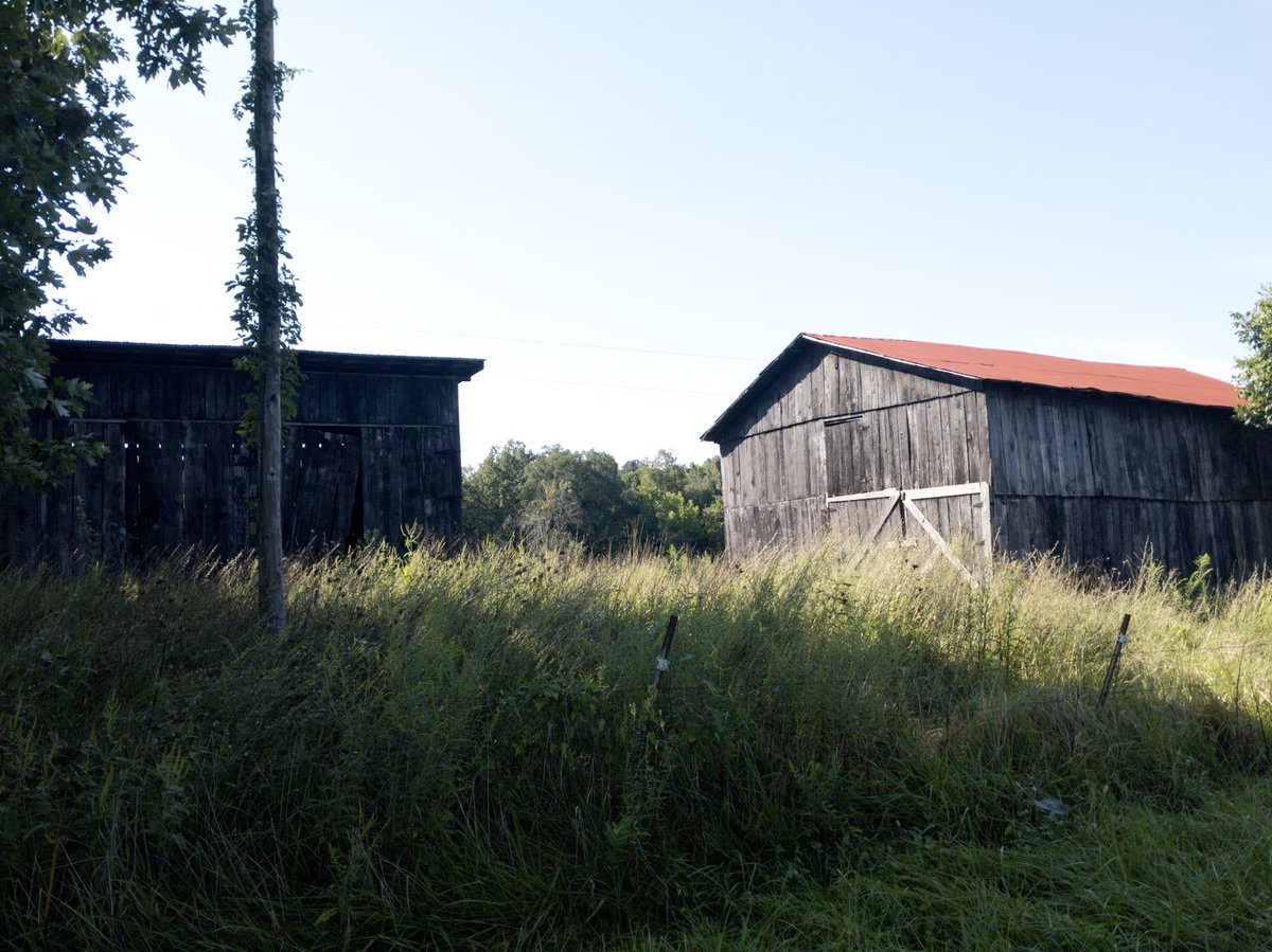 New town every hour on Twitter "Caneyville, Kentucky Population 607 Photos from Google Places