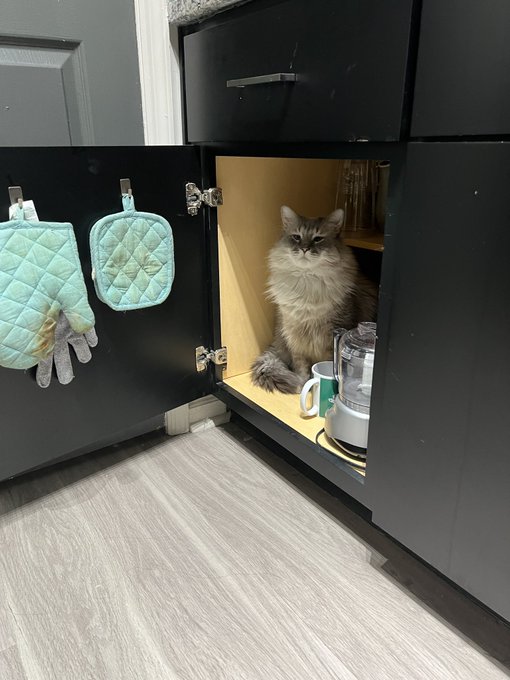 &ldquo;What&rdquo; https://t.co/wIISvH9xXe<a href="/tag/tittytuesday"class="tags"><span>#tittytuesday</span></a>