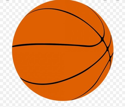 TierReport's tweet photo. HIGH SCHOOL GIRLS' BASKETBALL: FOUR AREA TEAMS OPEN PLAYOFFS AT HOME, ALL FIVE AREA TEAMS IN POSTSEASON . . . @CorningHawks @GirlsHorseheads @HorseheadsAD @HhdsSchools @EHeightsSDAth @ECSD_Athletics @WBballExpress 

https://t.co/sVaA1m2x03 https://t.co/lEClpCNIjZ