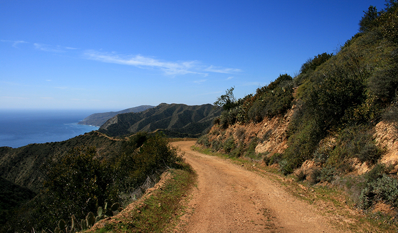 On March 11, Spectrum Sports Management, Inc. will host the California Trail Marathon Championship. #theLognewspaper #CatalinaIsland #CatalinaConnection #CaliforniaTrailMarathonChampionship 
thelog.com/news-departmen……hon-championship/