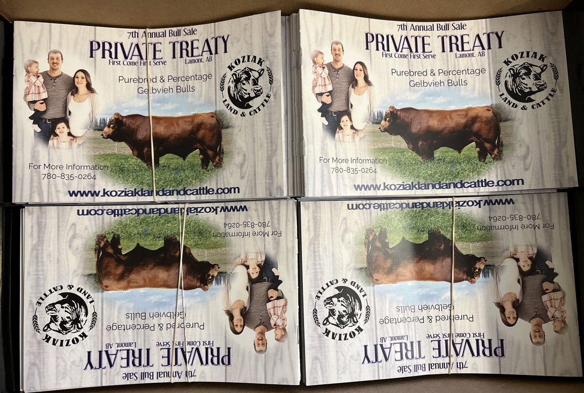 KoziakLand's tweet photo. Catalogs are printed and ready to mail out! Message us if you would like a hard copy! https://t.co/A8gbyl7K87