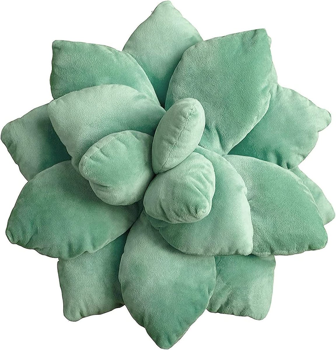 AmInspired22's tweet photo. Succulent #pillow!
>https://t.co/R5G3l1cx4g<
#succulents #cactus #garden #throwpillow #plush #novelty #amazon #amazonfinds #amazonhome #trends #trend #Trending #TrendingNow #soft #fun #funfinds #amazonaffiliate #affiliate #affiliatelink #green #homedecor #unique #uniquehome #love https://t.co/zDqO28Yh8d