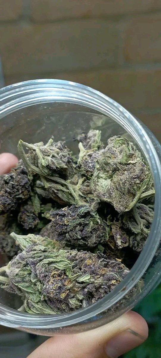 weedbogota2's tweet photo. 😎 https://t.co/CAOeQ5Y9DK