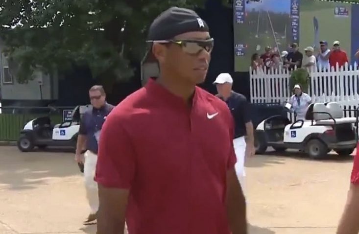 Nick Panozzo tweet media