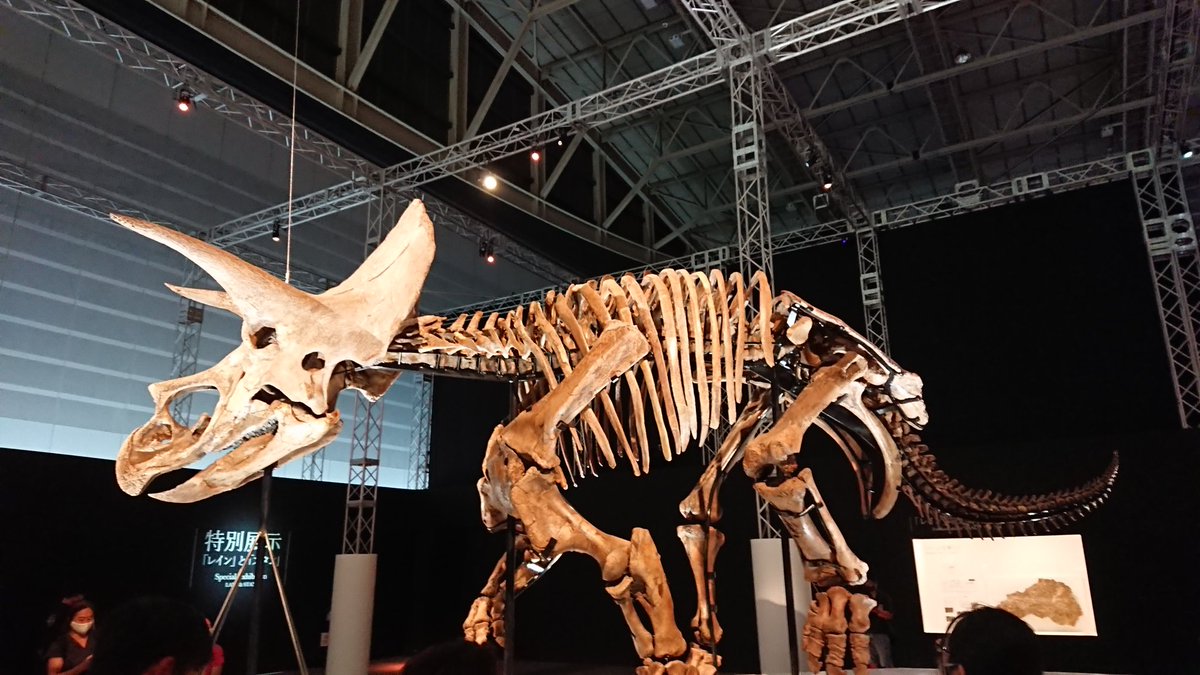 STS17358395's tweet photo. #金曜日だから化石貼る #FossilFriday #獣電戦隊キョウリュウジャー #PowerRanges
獣電戦隊キョウリュウジャーの放送10周年記念に獣電竜のモデルとなった恐竜・古生物たち https://t.co/KZdGGeqpMz