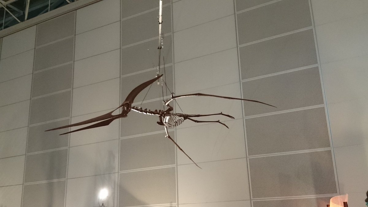 STS17358395's tweet photo. #金曜日だから化石貼る #FossilFriday #獣電戦隊キョウリュウジャー #PowerRanges
獣電戦隊キョウリュウジャーの放送10周年記念に獣電竜のモデルとなった恐竜・古生物たち https://t.co/KZdGGeqpMz