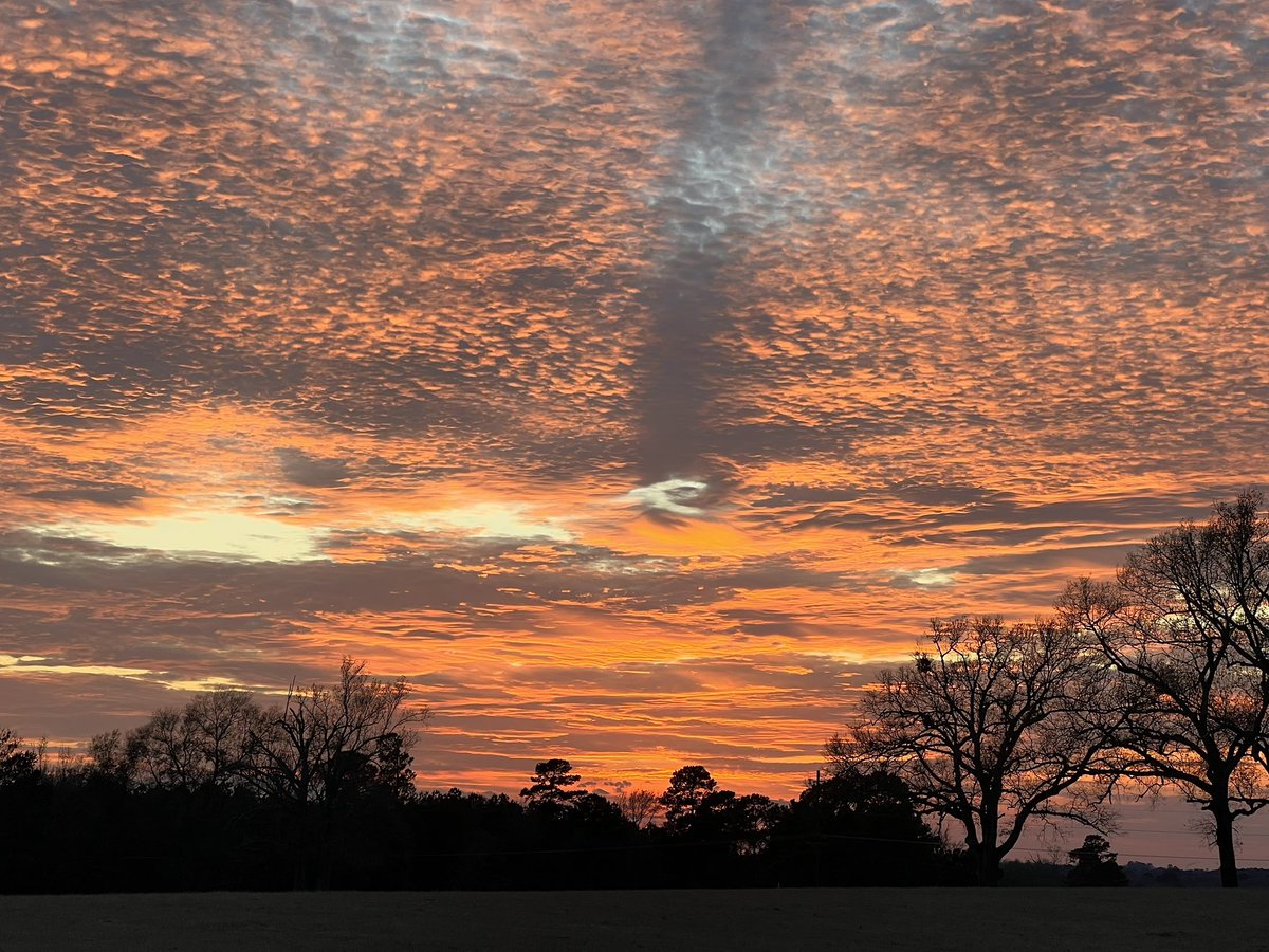 TripLangley's tweet image. The clouds are so on trend #middlepart #throwbackthursday (📸 12-28-22)