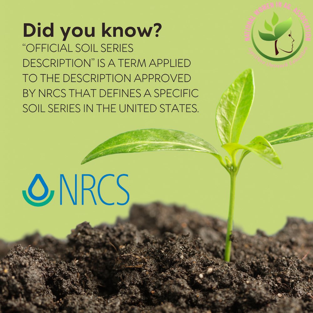 NWIAA's tweet photo. Happy Thursday Ag Family! 🌍🌱
Stop, click, & share to someone who may be interested in FREE federal financial assistance! 💸🥦🤯
#agthursday
#agdaily
#ageducation
#nwiaa
#usda
#nrcs
#fsa
#womeninag
#agridivas
#meninag
#agridreamers
#agribusiness https://t.co/gBgC0KXwRX