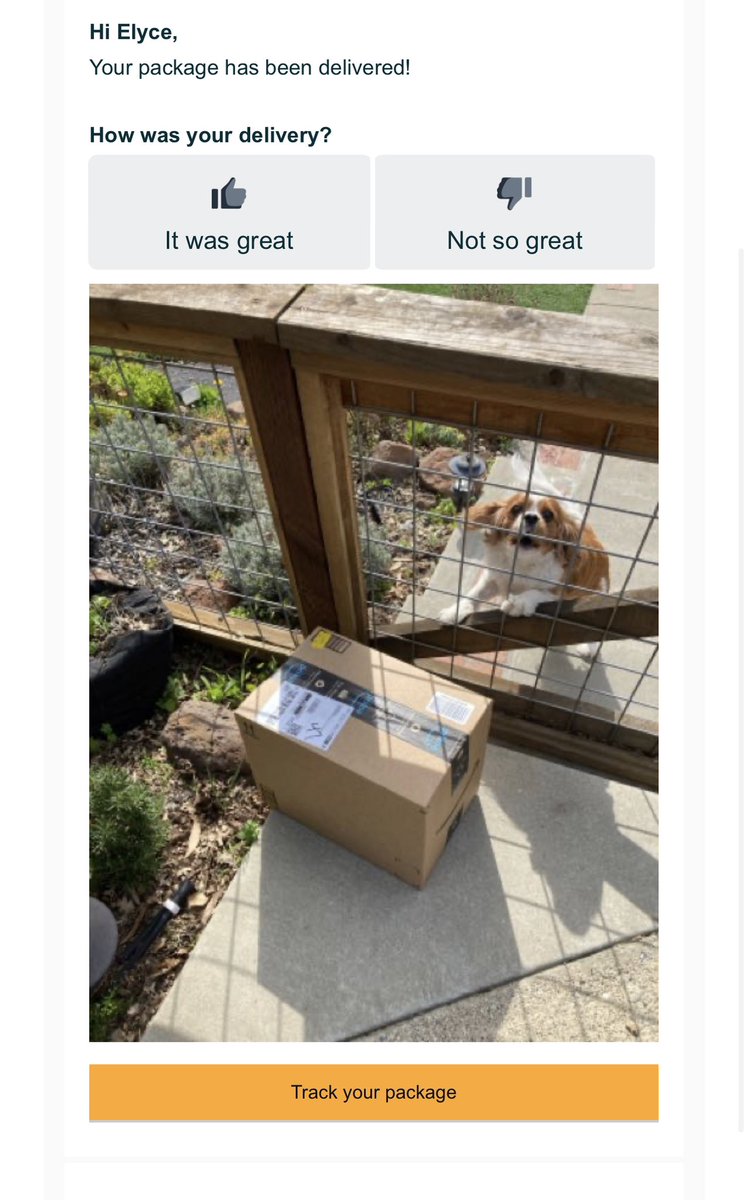 Elyce Kirchner tweet media