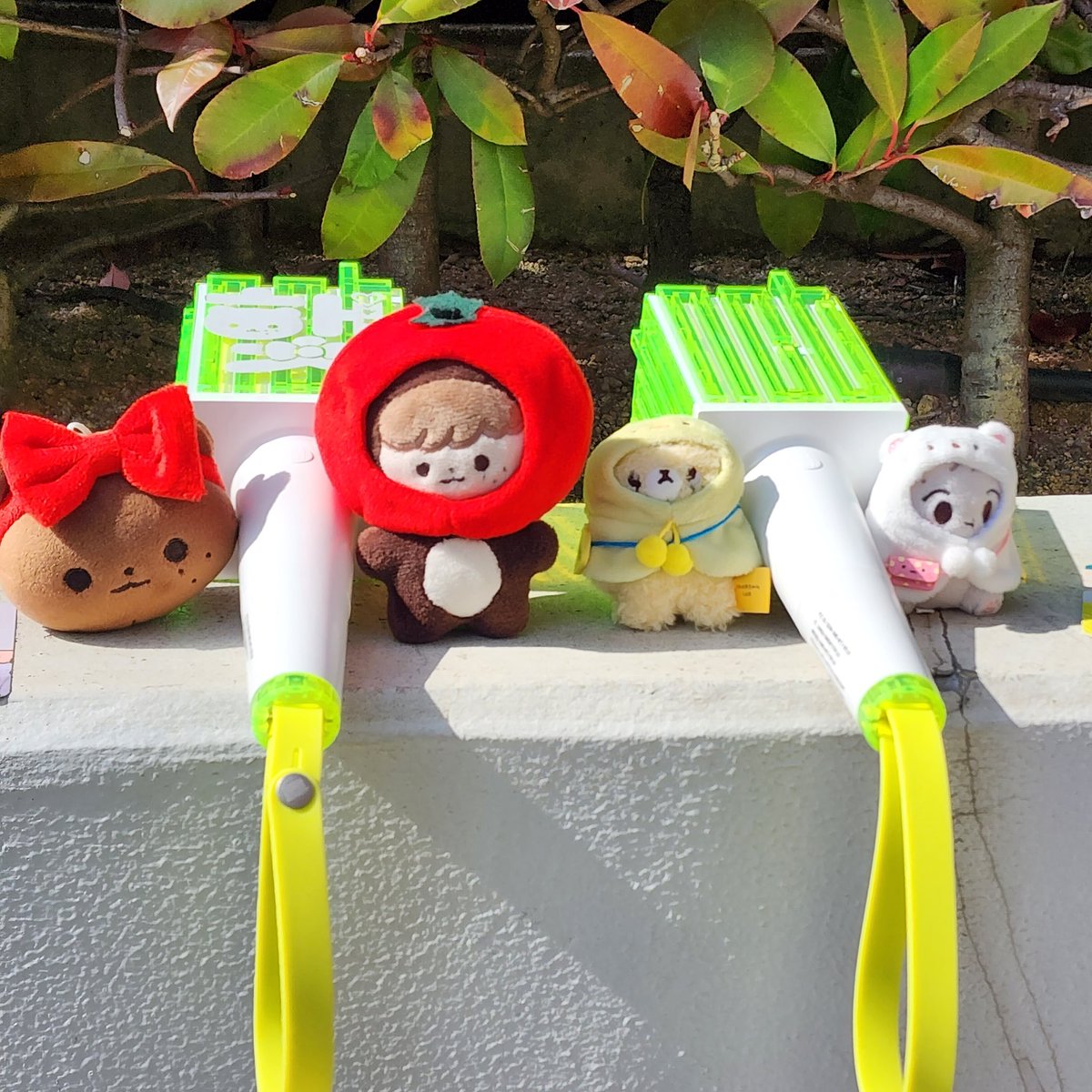 돔에서 만난 홍콩 칭구랑!!🎉