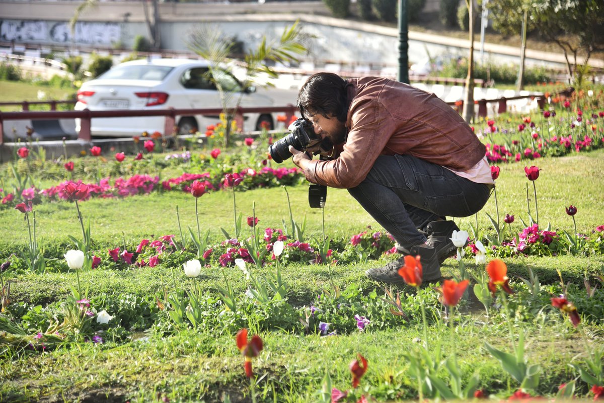 2 senior photographers taking pictures of tulip flowers at AIIMS Intersection fountain lawn in New Delhi#NDMCTulipFestival#G20#smartciry