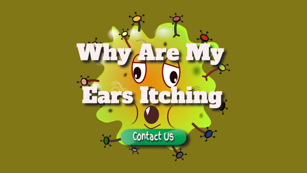 Why Are My Ears Itching topcollegepapers.net/why-are-my-ear… #topcollegepapers #atsocialmedia