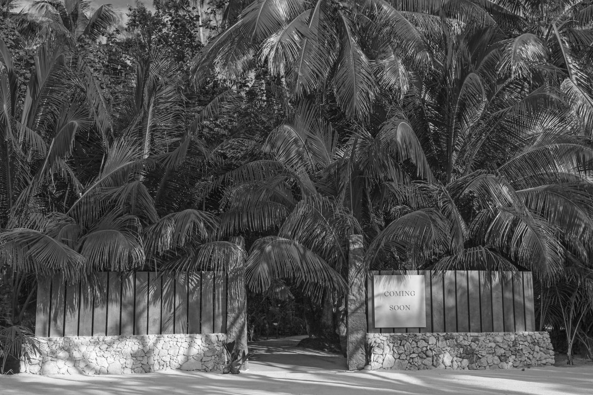 Are you coming to The Brando in the next few weeks? We have a surprise in store. Watch for the big announcement in 4 days. 

#thebrando #tetiaroa #frenchpolynesia