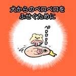 犬からのペロペロをふせごうとしたら!思い切り踏まれたw