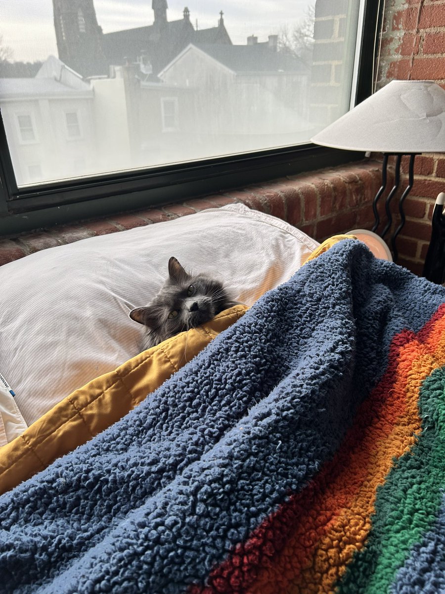 notmaadison's tweet photo. This is the only photo I’ve ever taken that matters https://t.co/odZfSGytnC