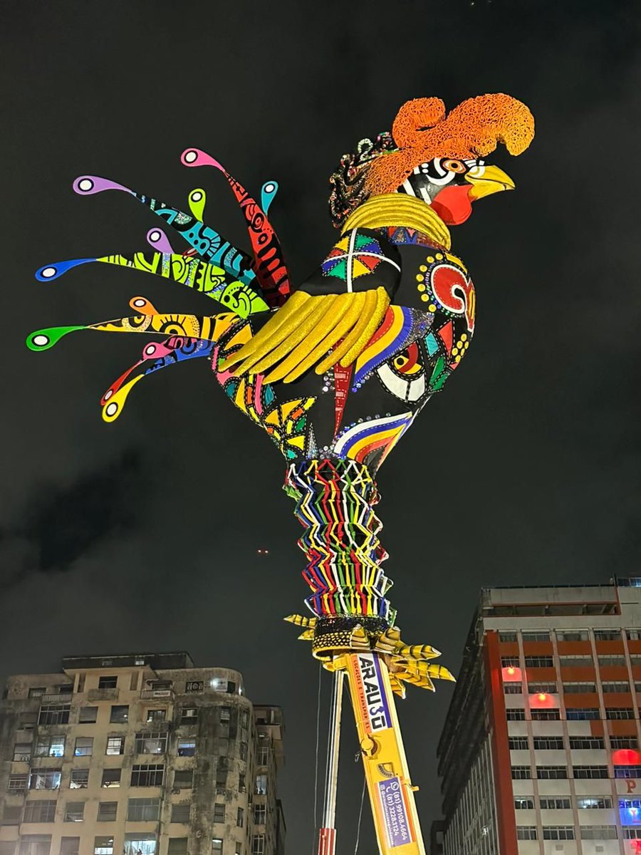 O galo da madrugada acabou de subir, eita bicho bonito do carai