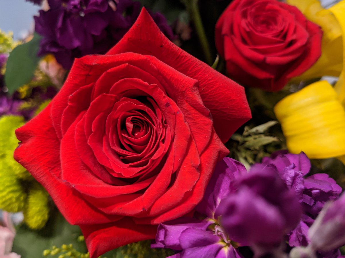 vanessajmaeda's tweet photo. Romantic Red Roses.
From my 
Handsome Husband Henry. https://t.co/fUkWe3E4zE