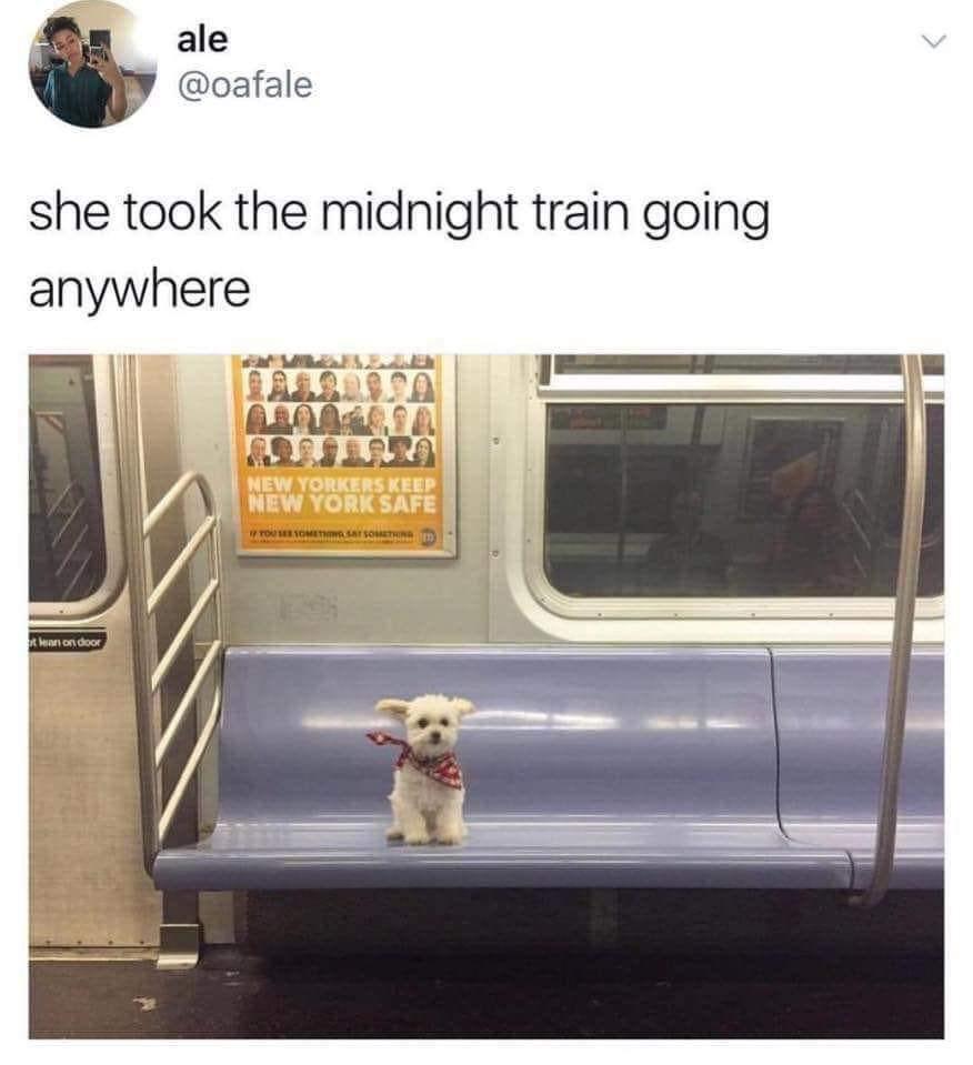 WholesomeMeme's tweet photo. Original tweet by @oafale https://t.co/DFt0ZF6rjf