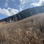 【箱根】一の湯グループ@もっと旅を身近に!のツイート画像