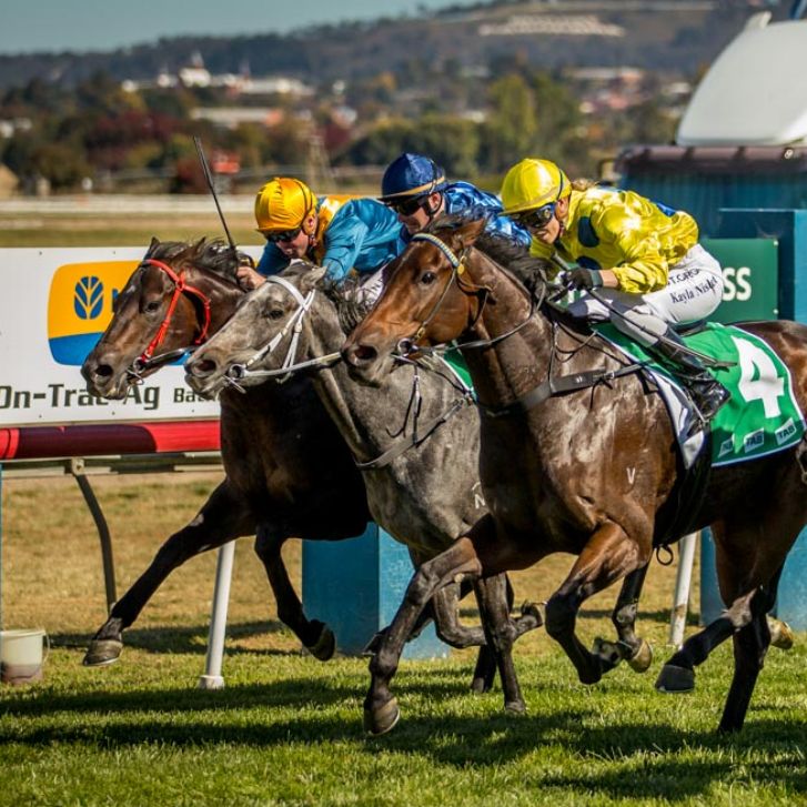 Are you ready for Soldier's Saddle ANZAC Day Races 2023? - mailchi.mp/9a6ffcb39ad9/s…
#FOTF #fashionsonthefield #thoroughbredracing #makeadayofit #savethedate #ANZACDayRaces #soldierssaddle2023 #soldierssaddle #bathurstthoroughbredracing