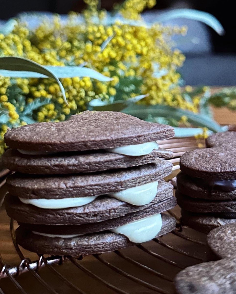 うちのバレンタインデーは若山曜子先生レシピの「ココアクッキーチョコサンド」でした。このホワイトチョコ挟んでトロリのところをマシュマロに変えてみたい。でも余熱では無理だな、きっと。バーナーかな？