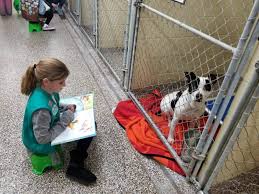 PawsUpTampa's tweet photo. At Paws Up Tampa, our goal is to bring awareness to the organization  @HumaneTampaBay and their dedication to ending animal homelessness and providing care and comfort for animals in need. Their 3 main values are compassion, commitment, and community. Follow them to learn more! https://t.co/JCQDvShNE1