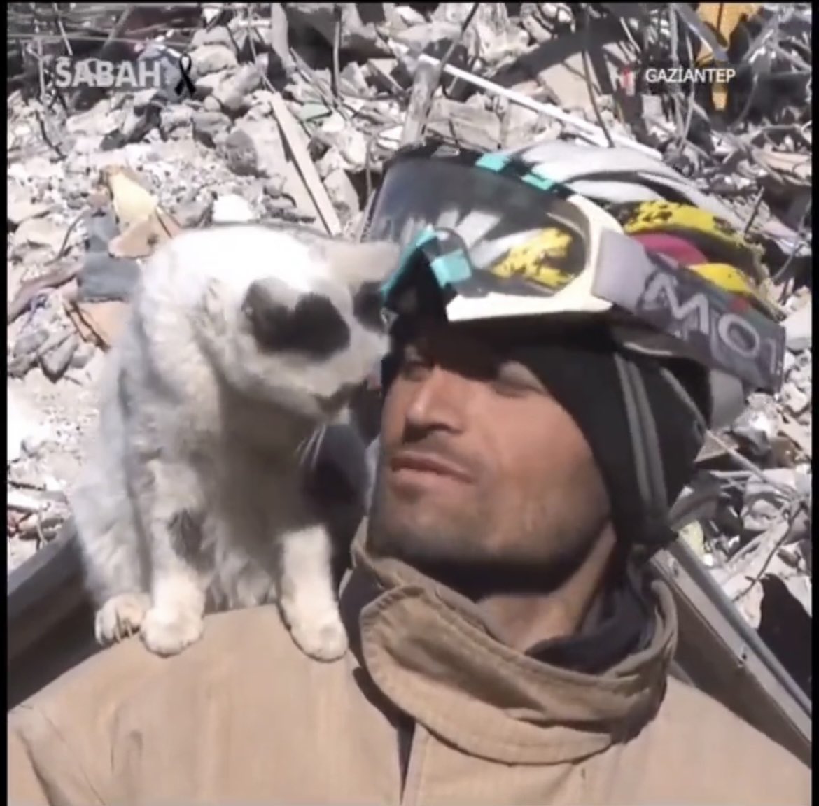 nickdorazio3rd's tweet photo. @Gerashchenko_en If you’ve ever wondered what pets bring to the human experience: https://t.co/Vj9P0nFmKt
