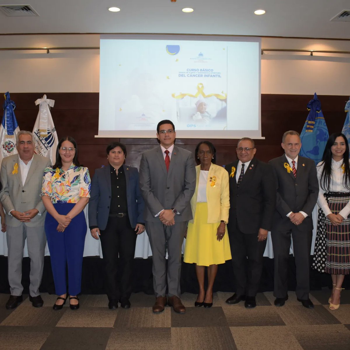 Acto oficial de Lanzamiento Nacional del Curso Básico de Signos de alerta y diagnóstico oportuno de Cáncer Infantil.

Presidido por el Viceministerio de Salud Colectiva y la SDP.
