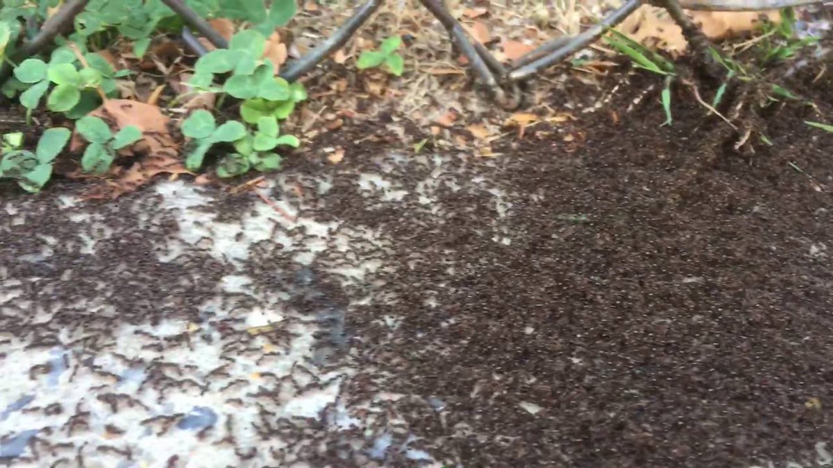 quantumania spoilers without context