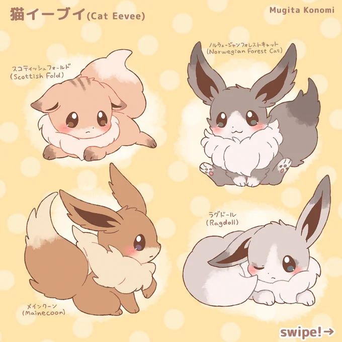 大変!イーブイとネコちゃんがミックスしちゃった!#ホイップスペース 