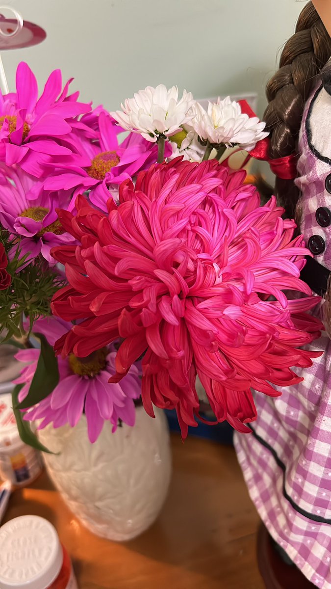 MyAllielove's tweet image. My chrysanthemum opened up and is pink inside red outside #SaveProdigalSon #ProdigalSon #ThanksForTheHelp