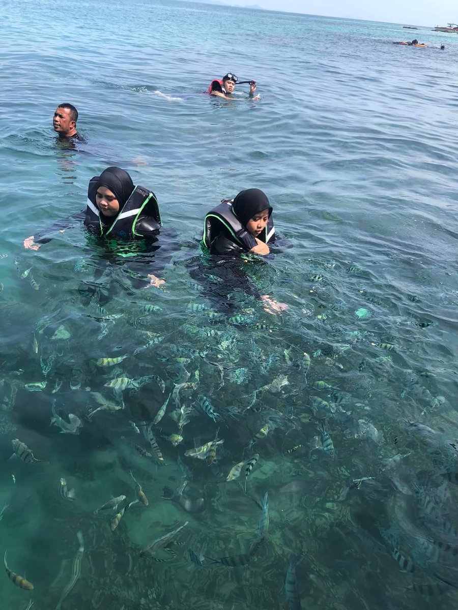 sillslyna's tweet photo. Day trip ke Pulau² di Mersing, Johor. Tak tahu nak pergi mana, korang boleh singgah sini. Banyak port best! 😍

🌞 DAY TRIP (9am-2pm)
💲RM 140/Pax
📌 Pulau Rawa
📌 Pulau Harimau 
📌 Pulau Hujung
📌 Pulau Tengah
📌 Pulau Besar

WhatsApp for details 👇
☎️ https://t.co/q7FE91wsb1 https://t.co/Wo75ul2EQH