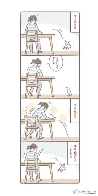 床に降りちゃダメというルールは理解しているようなので遊ばれてるのかも
#文鳥 
#4コマ漫画 