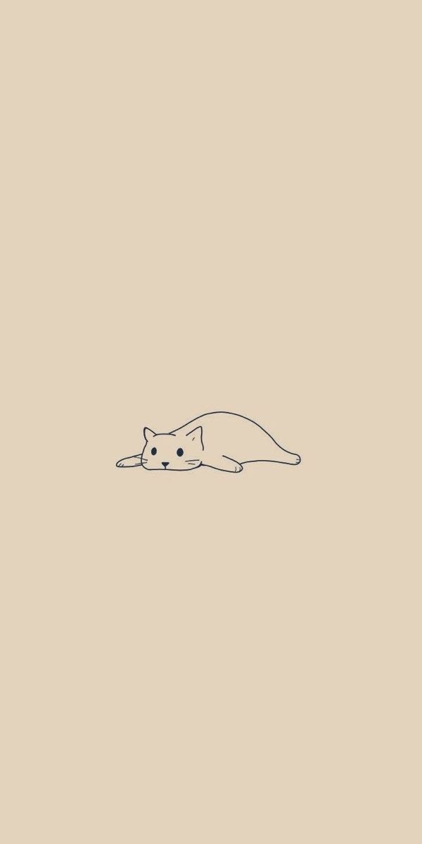 Spill foto kocheng kalian dan kasih tau emamnya apa? 🐈‍⬛