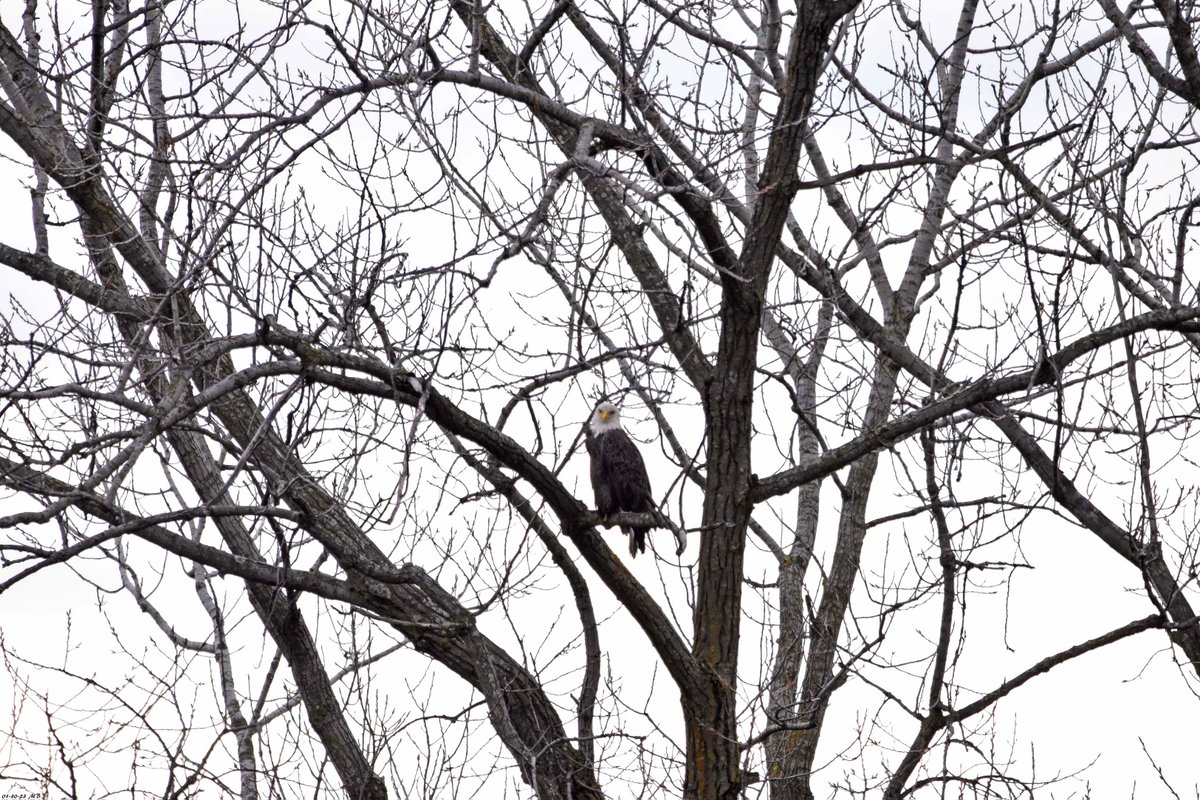 Mike B 🇺🇦 tweet media