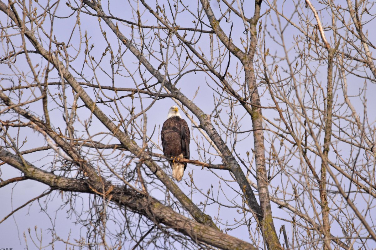 Mike B 🇺🇦 tweet media