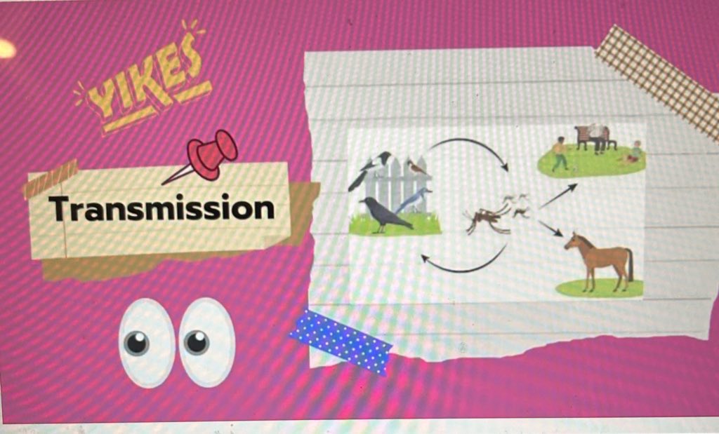 Kristen Cox (@kcoxscience) on Twitter photo Our students did an amazing job taking on the role of Disease Detectives. They researched a disease, wrote a scenario of how an outbreak could occur on campus, and completed a report to communicate to others how to prevent future outbreaks from happening. <a href="/eastcarymiddle/">East Cary Magnet Middle School</a> Our students did an amazing job taking on the role of Disease Detectives. They researched a disease, wrote a scenario of how an outbreak could occur on campus, and completed a report to communicate to others how to prevent future outbreaks from happening. <a href="/eastcarymiddle/">East Cary Magnet Middle School</a>