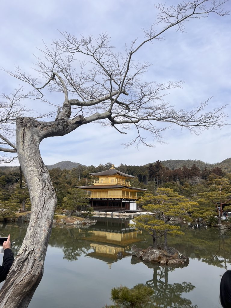 DEScreativearts's tweet photo. Shariden Kinkaku and Zen temple 
#DESCreativearts 
#DESCtrips 
#GrowAtDESC 
#DESCjapan https://t.co/9GLXehXSnu