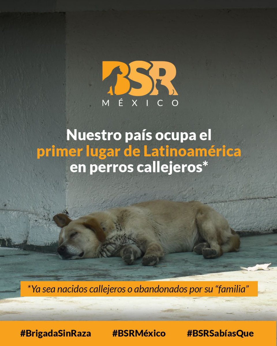 Brigada Sin Raza tweet media