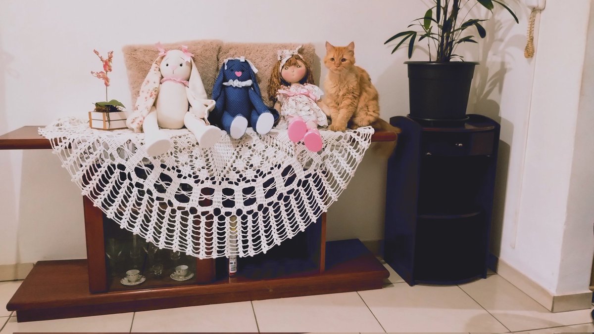 DuniaMuller's tweet photo. Sou bonequeira e FRED NICACIO INOCENTE 
A gatinha é minha filha... não está à venda 😂 https://t.co/YCrSozjXag