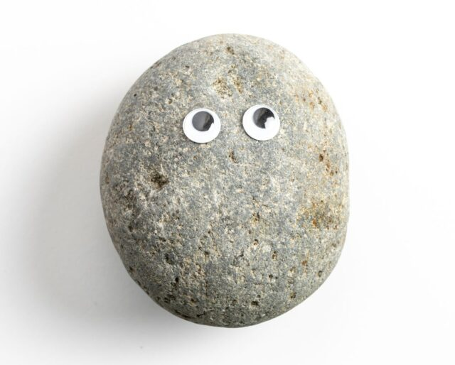 IAMGOONMODFNF's tweet photo. @Astroman115 idk this rock i guess https://t.co/B0RPVWy6hL