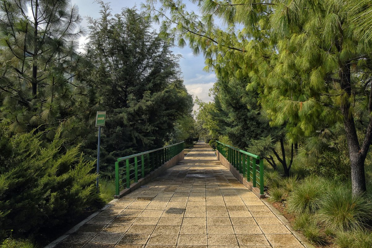 Durante la celebración de #LaGranFeriaDeMéxico, informamos a nuestros usuarios que el Parque abrirá sus instalaciones estos próximos lunes 20 y 27 de febrero en sus horarios habituales de 7:00 am a 6:00 pm. ¡Los esperamos en el Parque y @lagranferiademexico! 💚