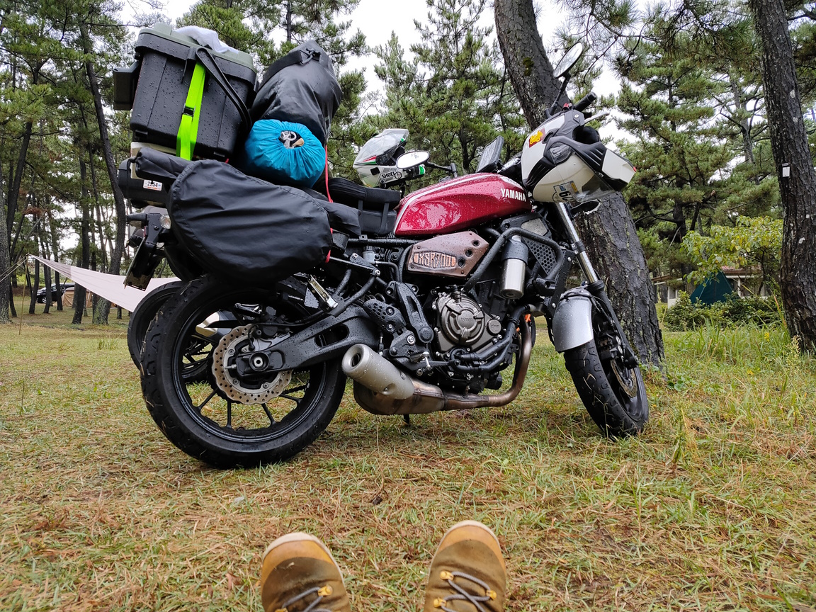 levinarjp's tweet image. はやくこれになりたい