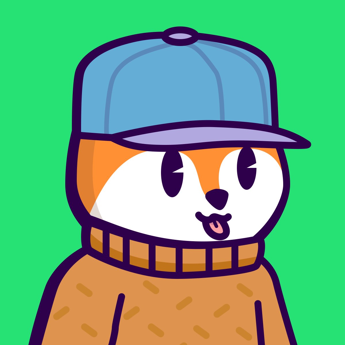 JoseBruno tweet media