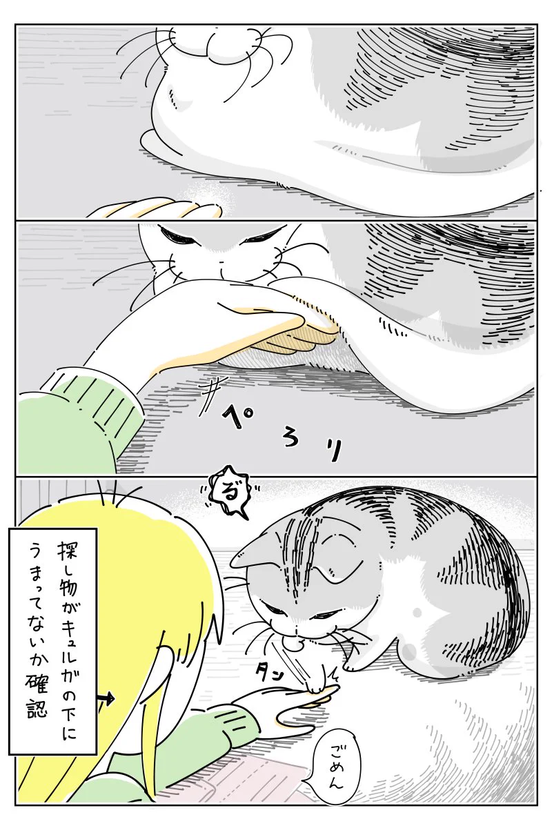 猫飼いさんは思わず共感しちゃうかも？猫と探し物のお話を描いた、可愛い「猫漫画」が話題に！